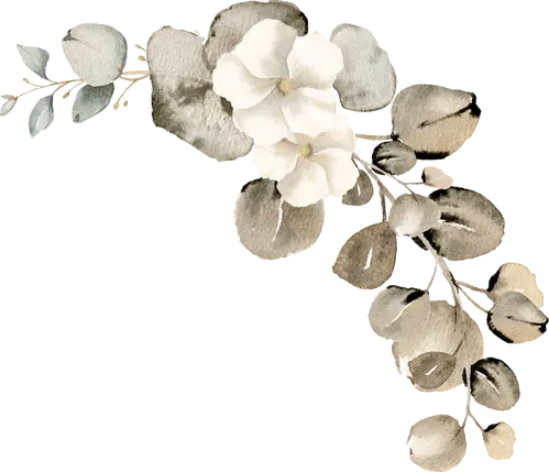 corner-flower